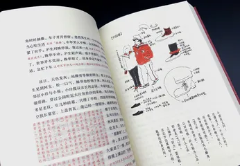 《繁花》,一千零一片的花瓣2