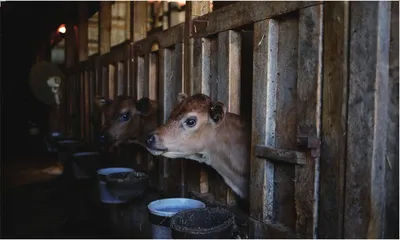 拜登为何紧盯供应链