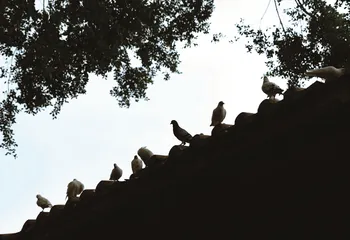 泉州,不止视觉2