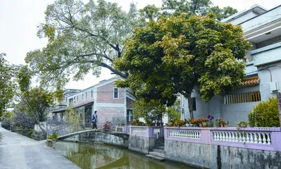 渠岩:乡村建设的第三条路是艺术1