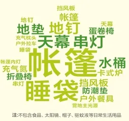 精致露营,中产的标配3