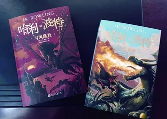 马爱农,被霍格沃茨选中的翻译家1