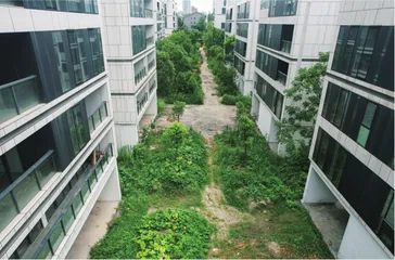 烂尾楼,钱去哪了1