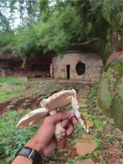 隐居青年,朝山海走去2