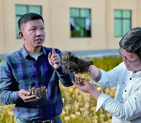 波密,援助在三千公里外2