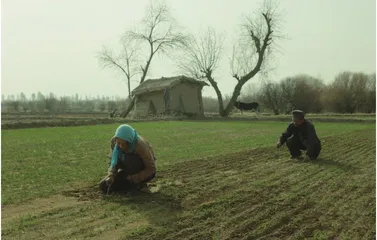 今年最好的电影,不甘《隐入尘烟》4