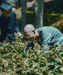 在寺院体验禅修,我治好了精神内耗1