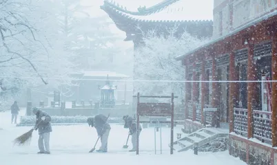 在寺院体验禅修,我治好了精神内耗2