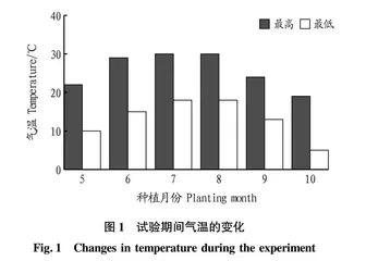 不同柳枝稷在盐碱地的适应性研究