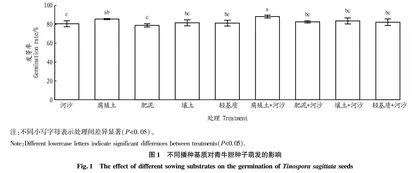 青牛胆种子及扦插繁育试验研究