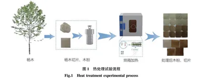 水热协同作用下杨木颜色变化规律研究