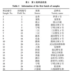 60份广西茶树种质资源的染色体倍性鉴定