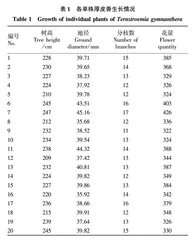 厚皮香优良单株的筛选