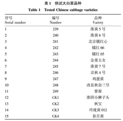 不同温度对大白菜叶绿素含量的影响