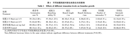 不同短截强度对冬枣生长及产量的影响