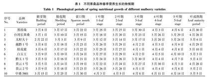 不同果桑品种资源的春季营养生长特点及利用价值