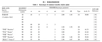 我国几种油茶植物染色体研究进展