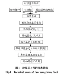 水旱兼用绿豆新品种汾绿豆5号选育研究