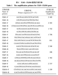 筛选Toll样受体激动剂用于羊抗人载脂蛋白A1抗体的制备
