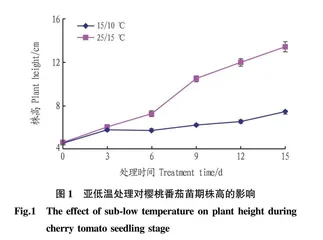 亚低温对樱桃番茄生长和花序的影响