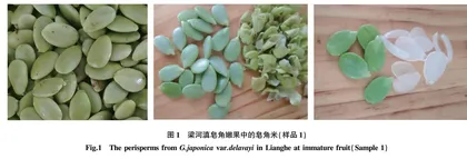 梁河滇皂角米发育成熟过程中主要营养物质变化研究