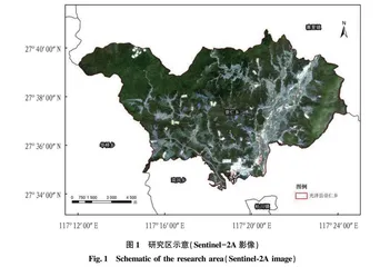 基于决策融合的南方复杂地区覆膜农田信息快速提取研究