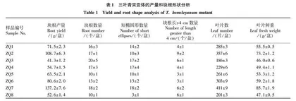 不同三叶青突变体的品质和抗氧化活性分析