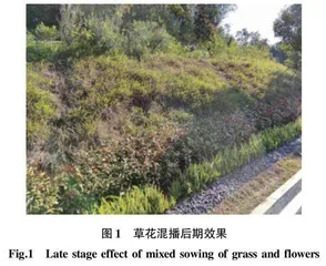 深圳地区新自然主义长效花境植物选择策略研究