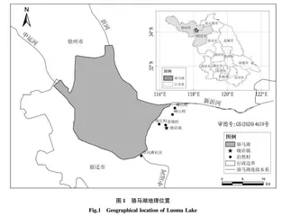 基于农户行为理论的小农户施肥行为及影响因素分析