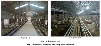羊圈带式饲喂输送系统设计研究