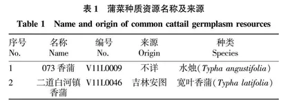 蒲菜薹营养成分及重金属含量测定与评价