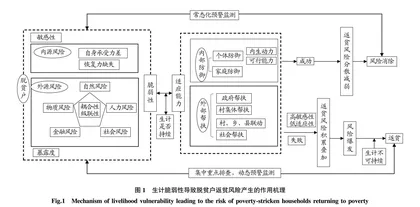 农村脱贫家庭返贫风险评估与预警机制的构建