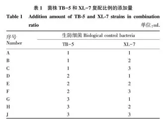 番茄青枯病拮抗菌的筛选鉴定及其复配能力研究
