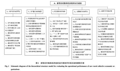 新型农村集体经济组织运行绩效评价研究