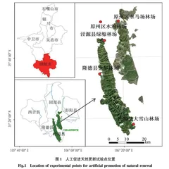 不同生境类型的华北落叶松林人工促进天然更新措施