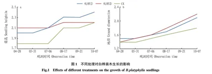 城市污泥处理营养土与生物菌肥配比对苗木生长的影响 