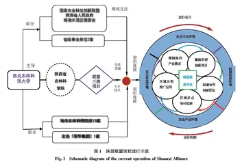 陕西省农业协同创新与推广联盟运行模式构建与实体化运行路径研究