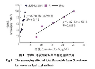 木棉叶总黄酮抗氧化活性研究