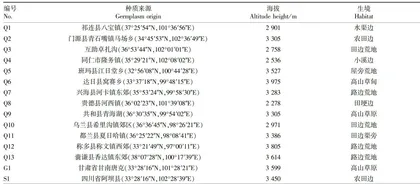 青海地区藏茴香种质资源遗传多样性的ISSR分析11