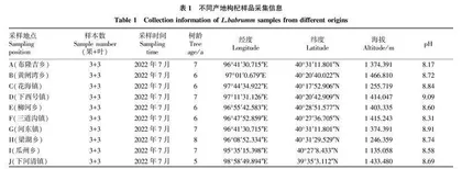 枸杞叶果营养成分含量特征分析