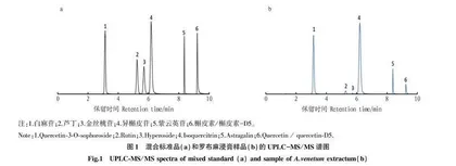 罗布麻浸膏中黄酮类成分分析及其在混合型卷烟中的应用