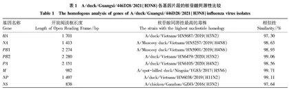 广西鸭源H3N8亚型禽流感病毒的分离鉴定及遗传进化分析