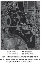 长春北湖国家湿地公园鸟类多样性及居留型构成研究