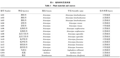 濒危植物黑牡丹KASP鉴定方法的建立