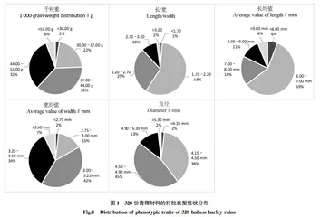 青稞籽粒表型性状和品质性状遗传多样性分析