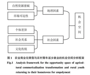 农业商业化转型与农村青年返乡就业：一种机会空间的方法