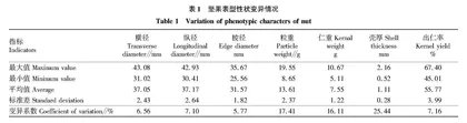 不同树龄漾濞泡核桃坚果表型与内在品质比较分析