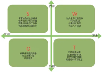 合肥市“粮头食尾”发展SWOT分析与对策研究1