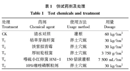 不同药剂对温室黄瓜根结线虫防效和黄瓜生长的影响