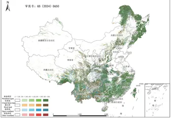 2000一2020年中国林地变化时空特征及驱动力分析6